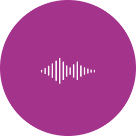 VoiceBot